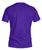 T Shirt Triumph Bella Canvas Tee-Short Sleeves-ViralStyle-Pixefy